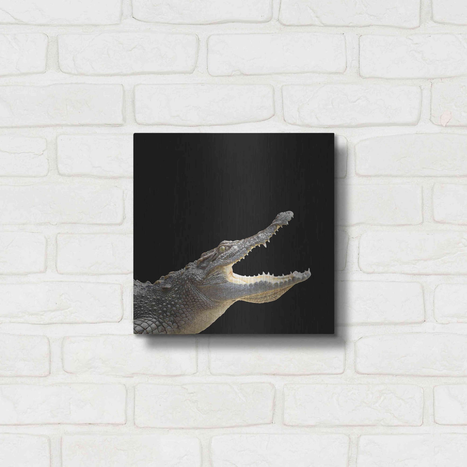 Luxe Metal Art 'Gator Games' by Epic Portfolio Metal Wall Art,12x12