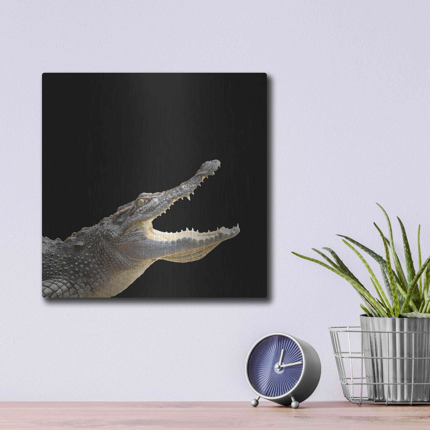 Luxe Metal Art 'Gator Games' by Epic Portfolio Metal Wall Art,12x12