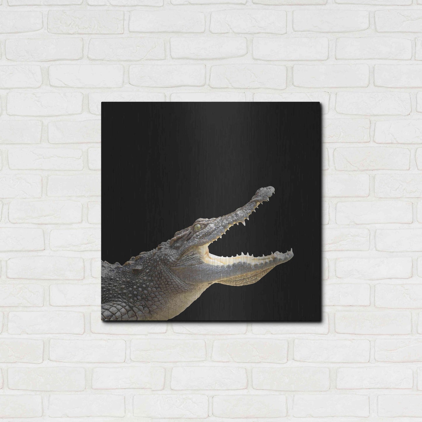 Luxe Metal Art 'Gator Games' by Epic Portfolio Metal Wall Art,24x24