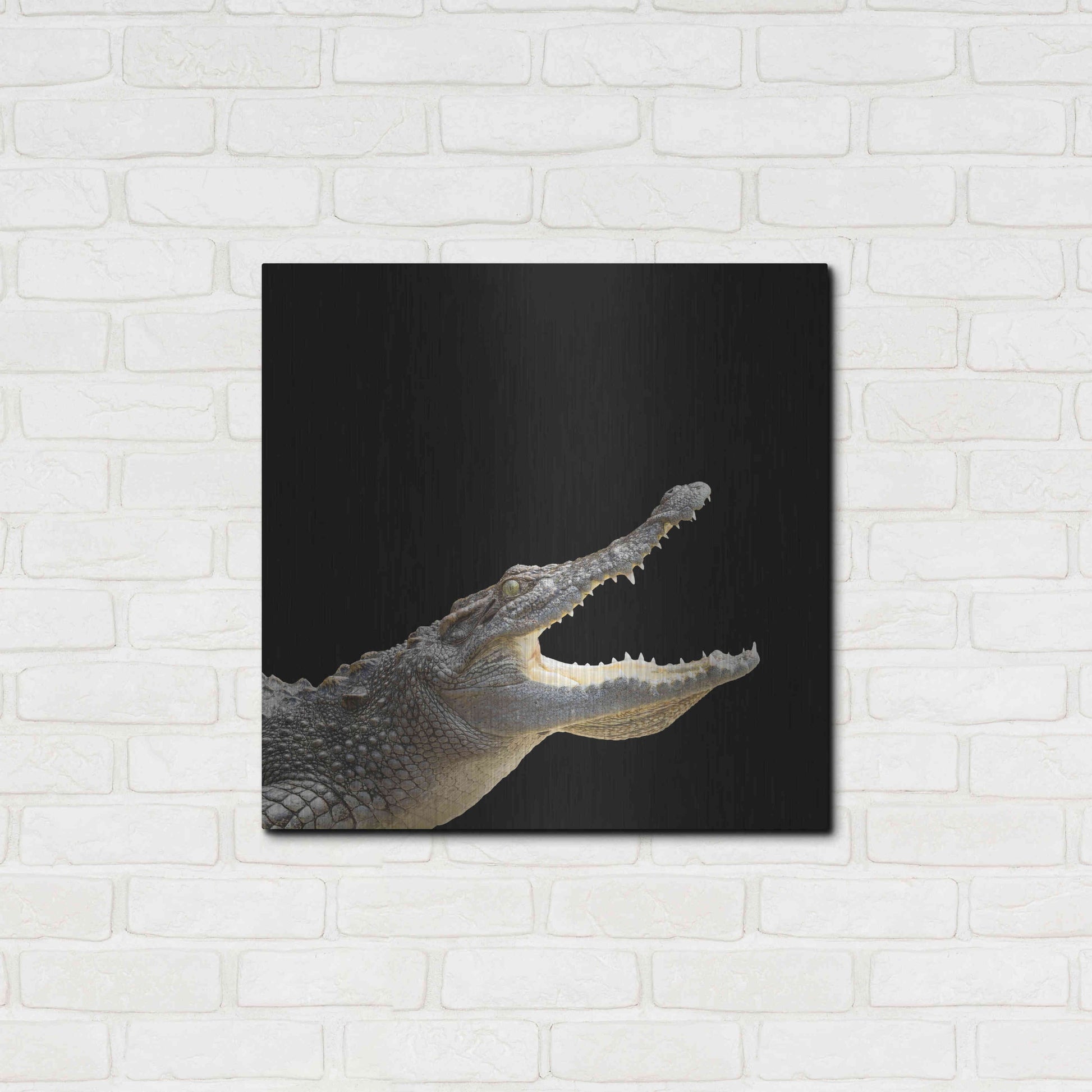 Luxe Metal Art 'Gator Games' by Epic Portfolio Metal Wall Art,24x24
