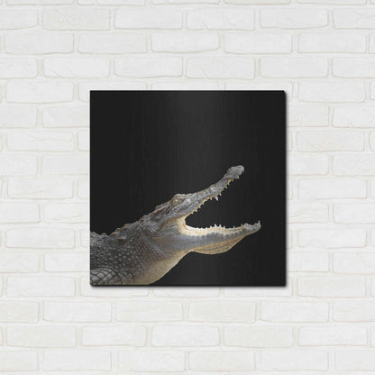 Luxe Metal Art 'Gator Games' by Epic Portfolio Metal Wall Art,24x24