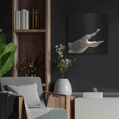 Luxe Metal Art 'Gator Games' by Epic Portfolio Metal Wall Art,24x24