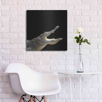 Luxe Metal Art 'Gator Games' by Epic Portfolio Metal Wall Art,24x24