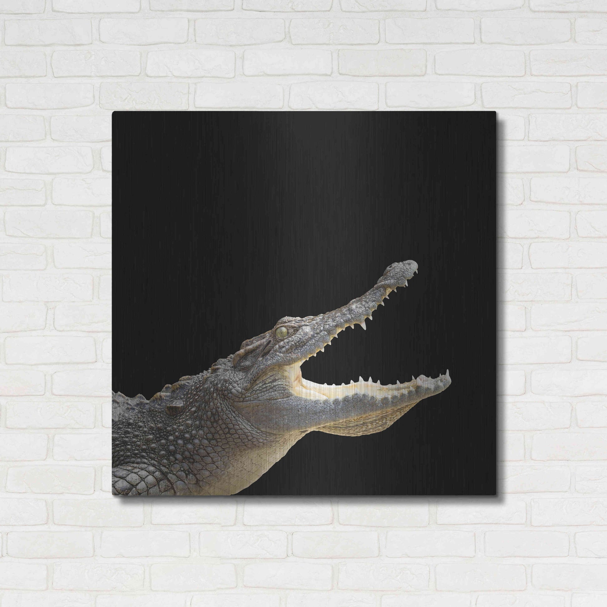 Luxe Metal Art 'Gator Games' by Epic Portfolio Metal Wall Art,36x36