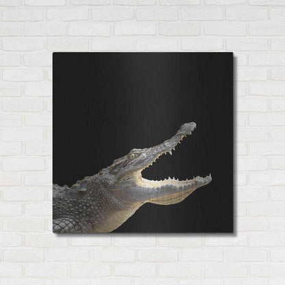 Luxe Metal Art 'Gator Games' by Epic Portfolio Metal Wall Art,36x36