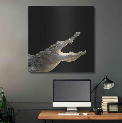Luxe Metal Art 'Gator Games' by Epic Portfolio Metal Wall Art,36x36