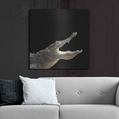 Luxe Metal Art 'Gator Games' by Epic Portfolio Metal Wall Art,36x36