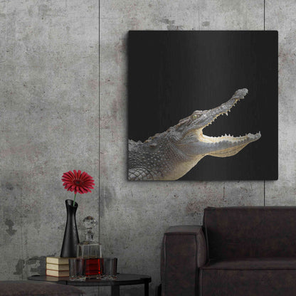 Luxe Metal Art 'Gator Games' by Epic Portfolio Metal Wall Art,36x36