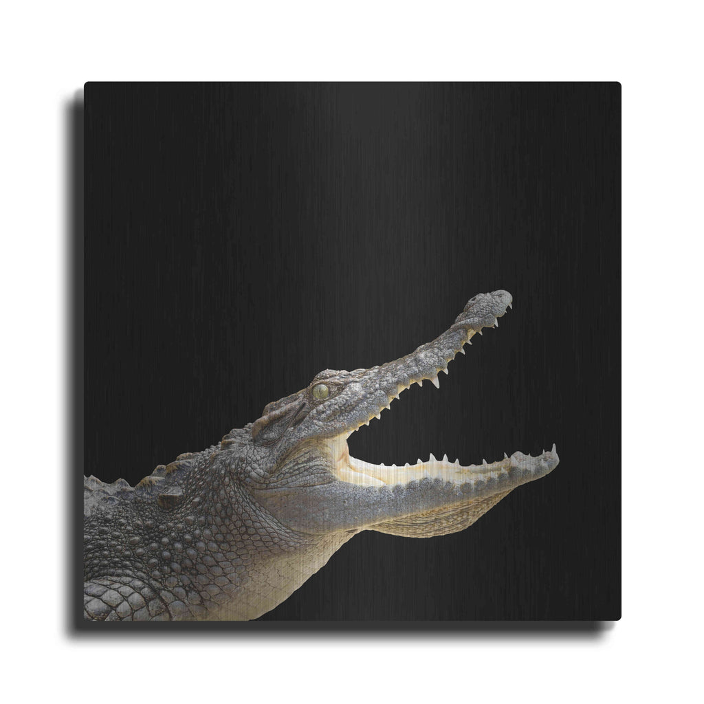 Luxe Metal Art 'Gator Games' by Epic Portfolio Metal Wall Art