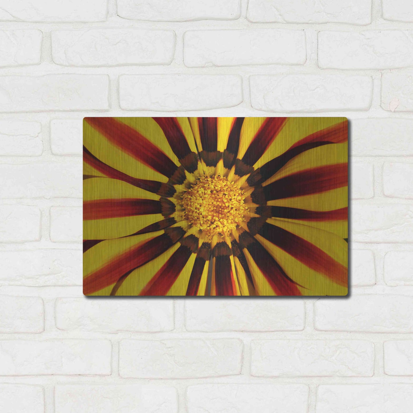 Luxe Metal Art 'Gazania' by Epic Portfolio Metal Wall Art,16x12