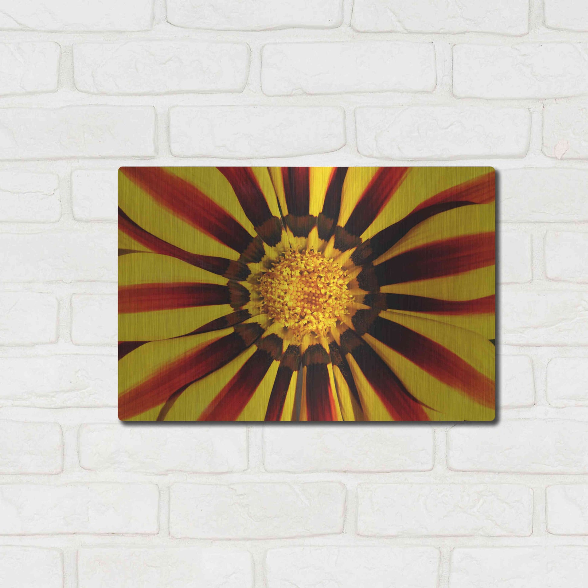 Luxe Metal Art 'Gazania' by Epic Portfolio Metal Wall Art,16x12