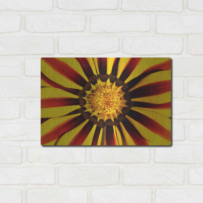 Luxe Metal Art 'Gazania' by Epic Portfolio Metal Wall Art,16x12