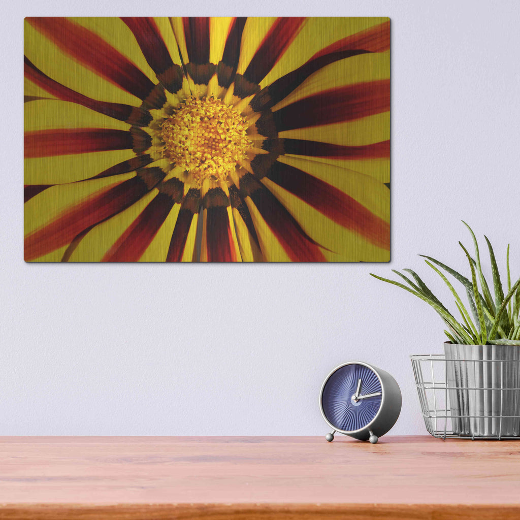 Luxe Metal Art 'Gazania' by Epic Portfolio Metal Wall Art,16x12