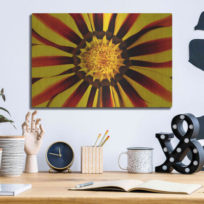 Luxe Metal Art 'Gazania' by Epic Portfolio Metal Wall Art,16x12