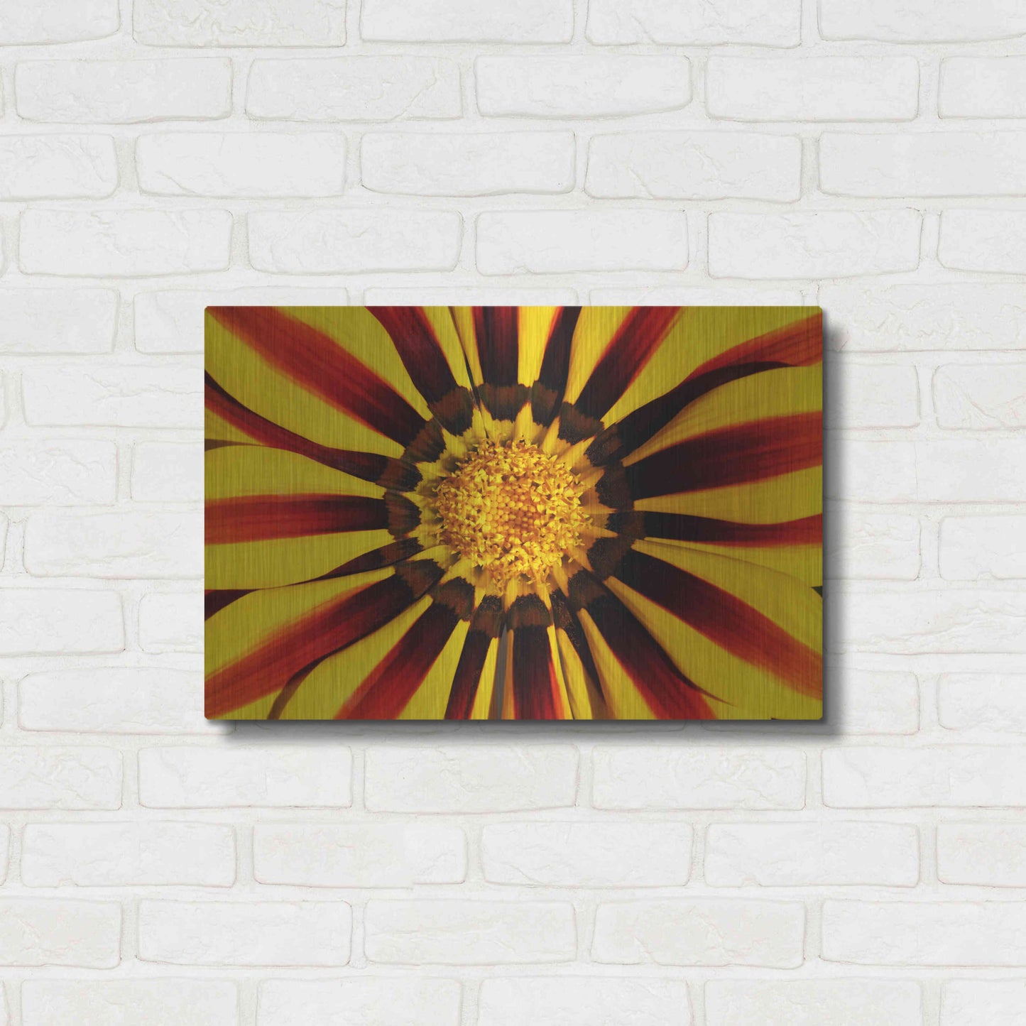 Luxe Metal Art 'Gazania' by Epic Portfolio Metal Wall Art,24x16