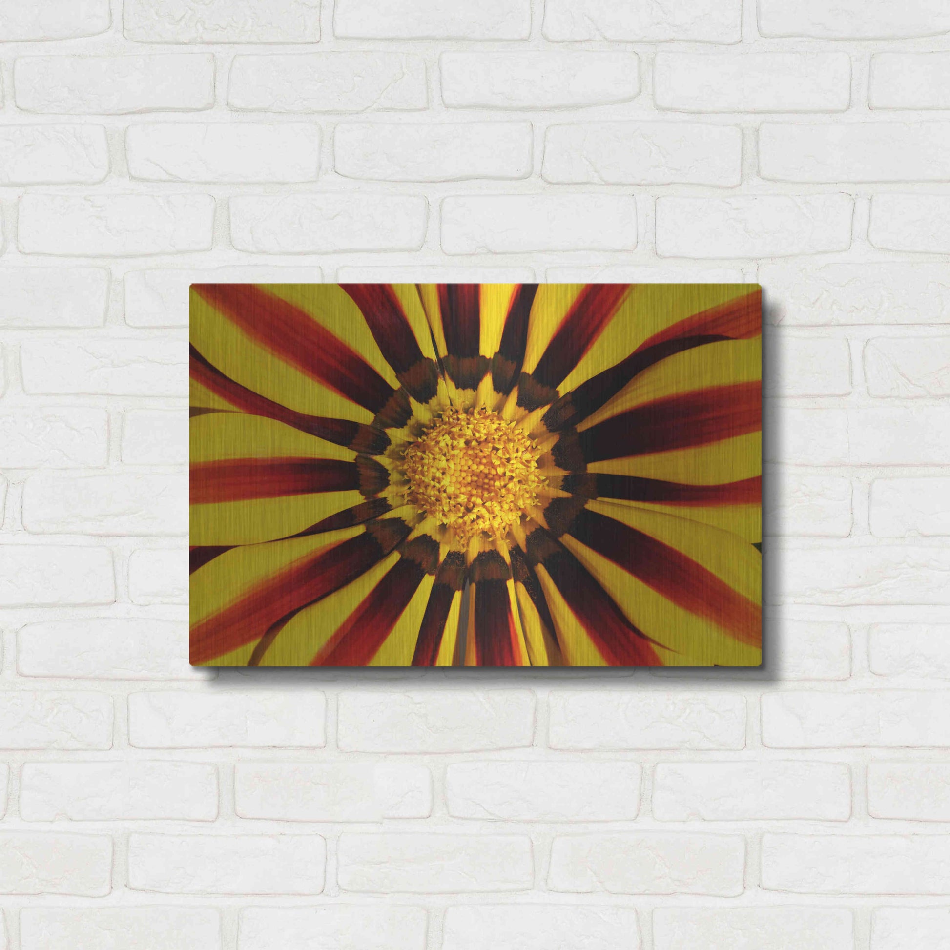 Luxe Metal Art 'Gazania' by Epic Portfolio Metal Wall Art,24x16