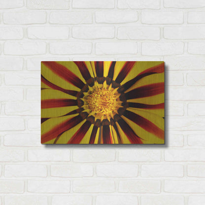 Luxe Metal Art 'Gazania' by Epic Portfolio Metal Wall Art,24x16