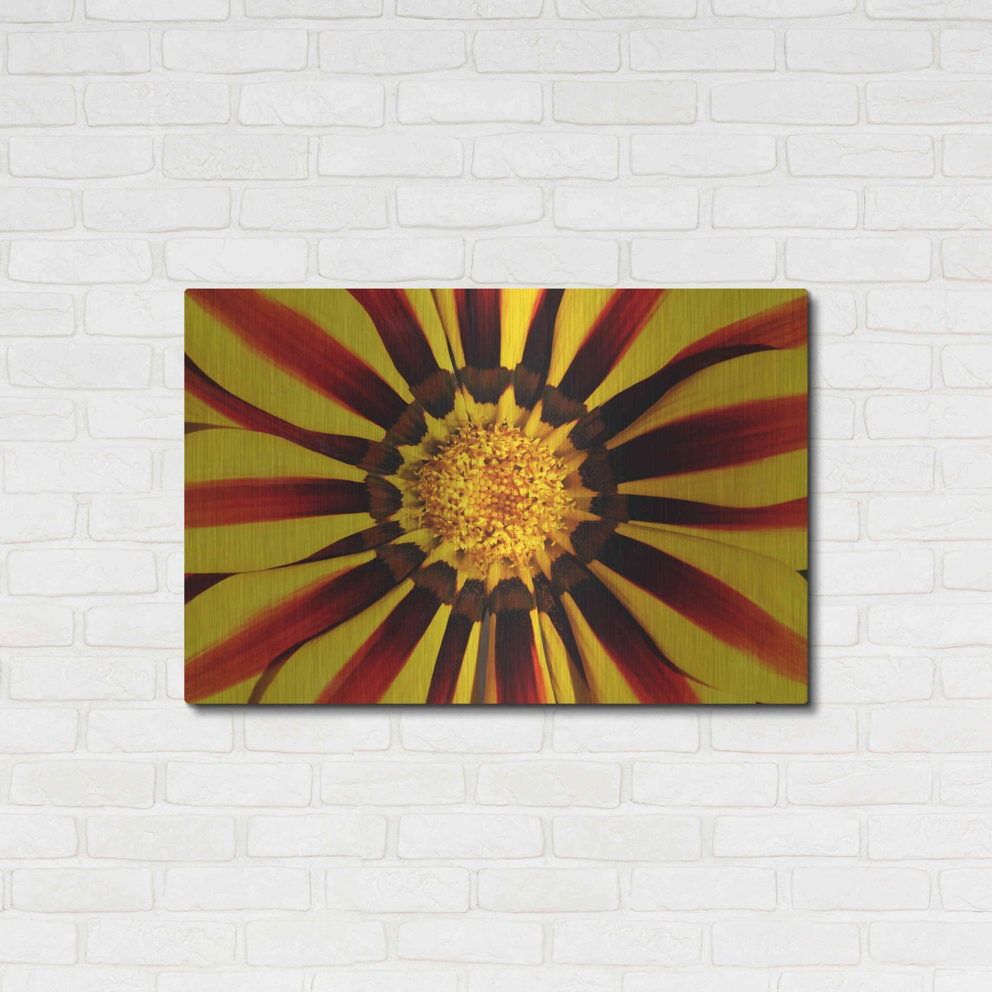 Luxe Metal Art 'Gazania' by Epic Portfolio Metal Wall Art,36x24