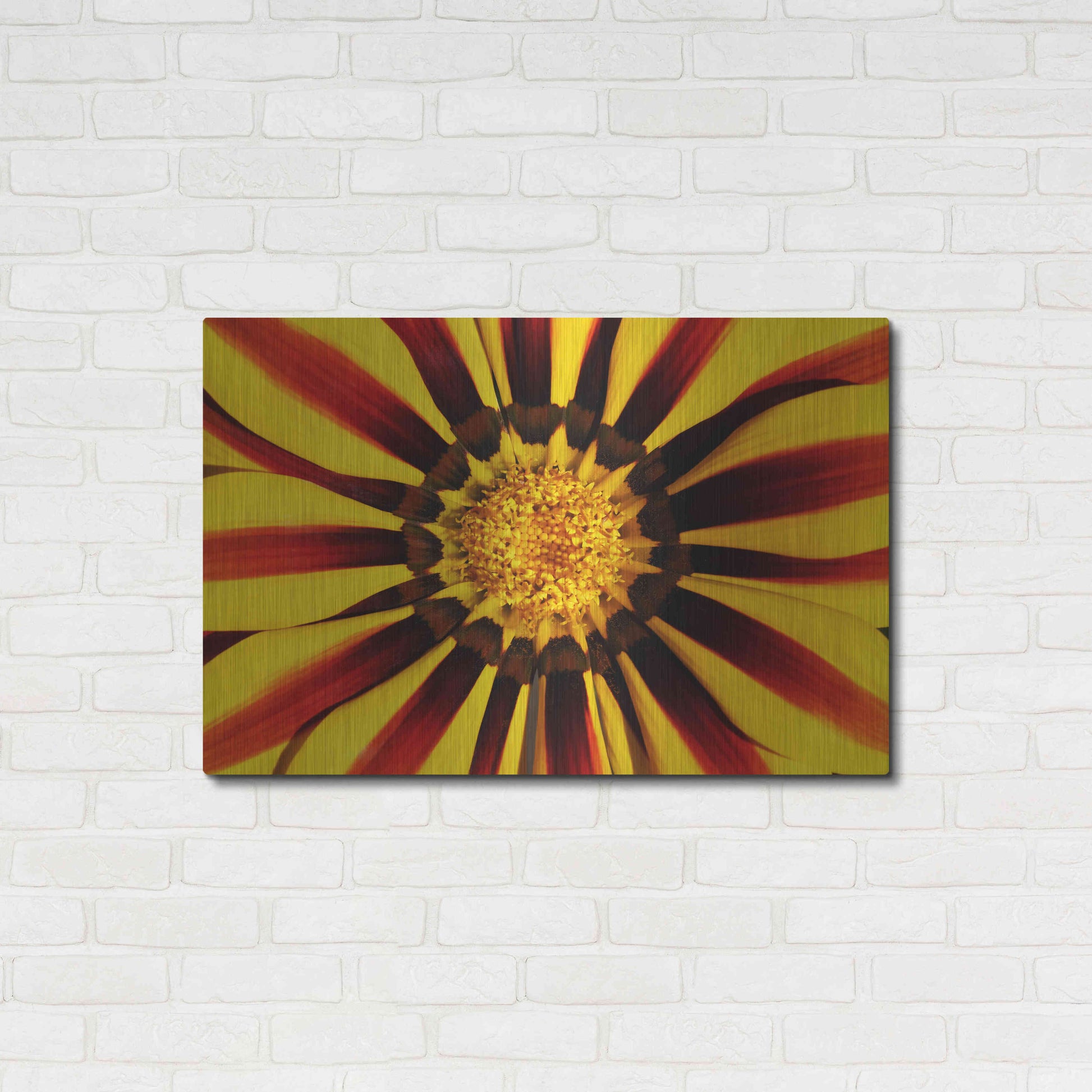 Luxe Metal Art 'Gazania' by Epic Portfolio Metal Wall Art,36x24