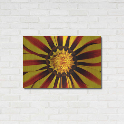 Luxe Metal Art 'Gazania' by Epic Portfolio Metal Wall Art,36x24