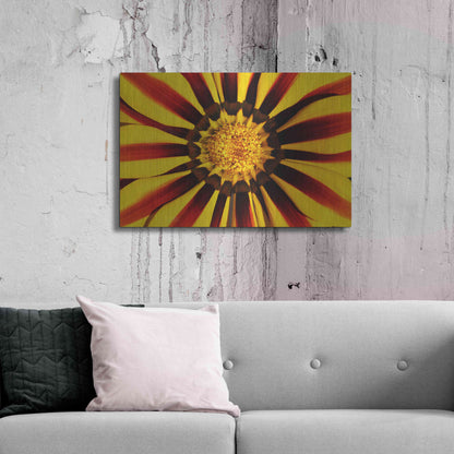 Luxe Metal Art 'Gazania' by Epic Portfolio Metal Wall Art,36x24