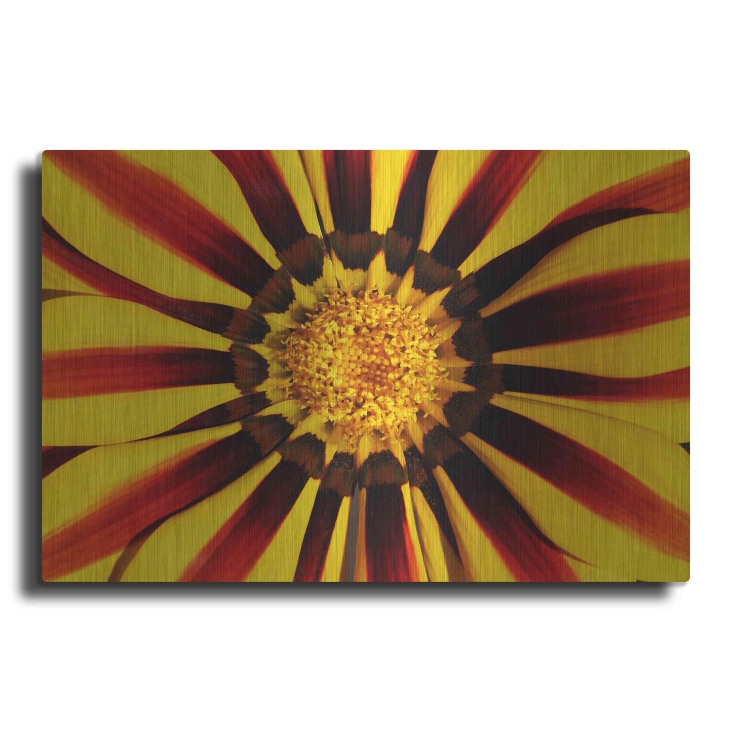 Luxe Metal Art 'Gazania' by Epic Portfolio Metal Wall Art