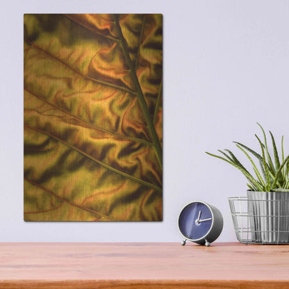 Luxe Metal Art 'Golden Desert' by Epic Portfolio Metal Wall Art,12x16