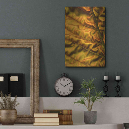 Luxe Metal Art 'Golden Desert' by Epic Portfolio Metal Wall Art,12x16