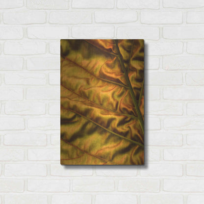 Luxe Metal Art 'Golden Desert' by Epic Portfolio Metal Wall Art,16x24