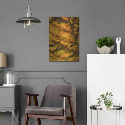 Luxe Metal Art 'Golden Desert' by Epic Portfolio Metal Wall Art,16x24