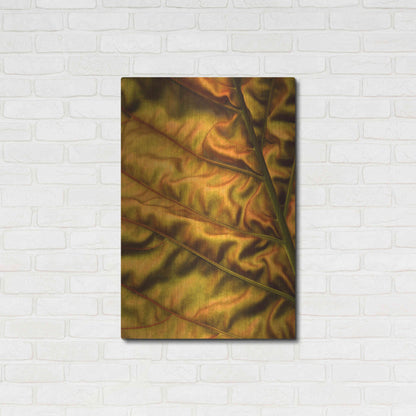 Luxe Metal Art 'Golden Desert' by Epic Portfolio Metal Wall Art,24x36