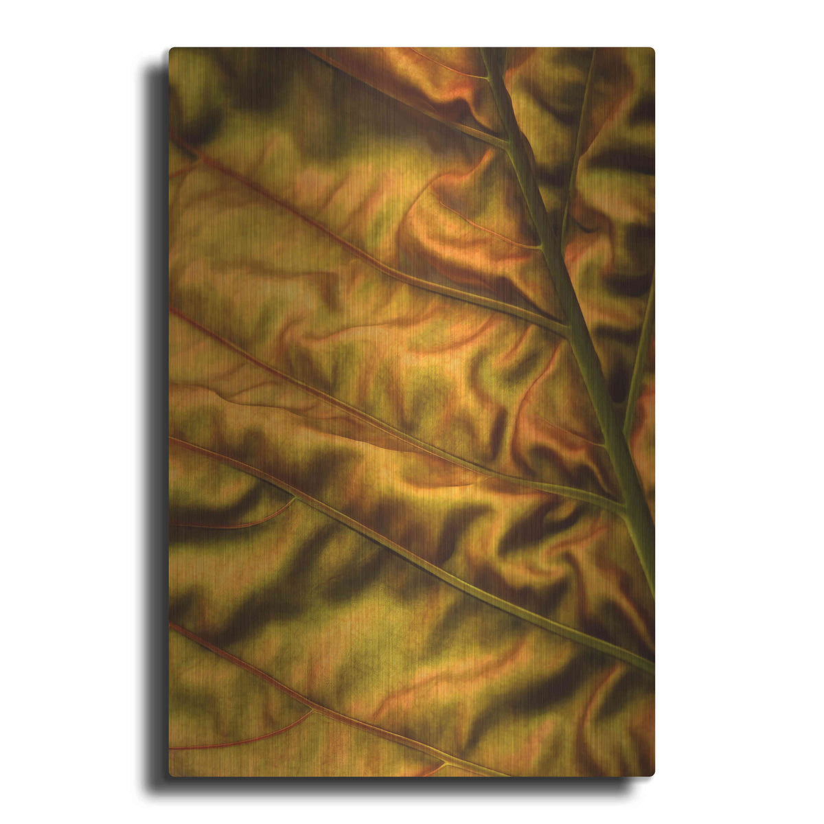Luxe Metal Art 'Golden Desert' by Epic Portfolio Metal Wall Art