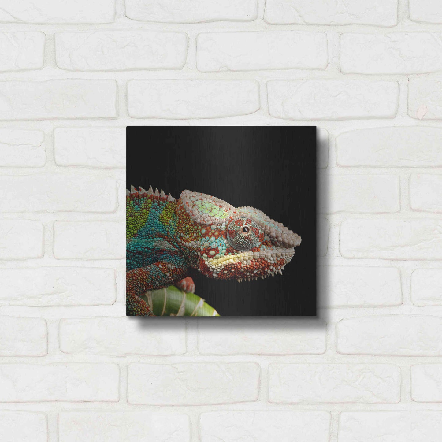 Luxe Metal Art 'Hide And Seek' by Epic Portfolio Metal Wall Art,12x12