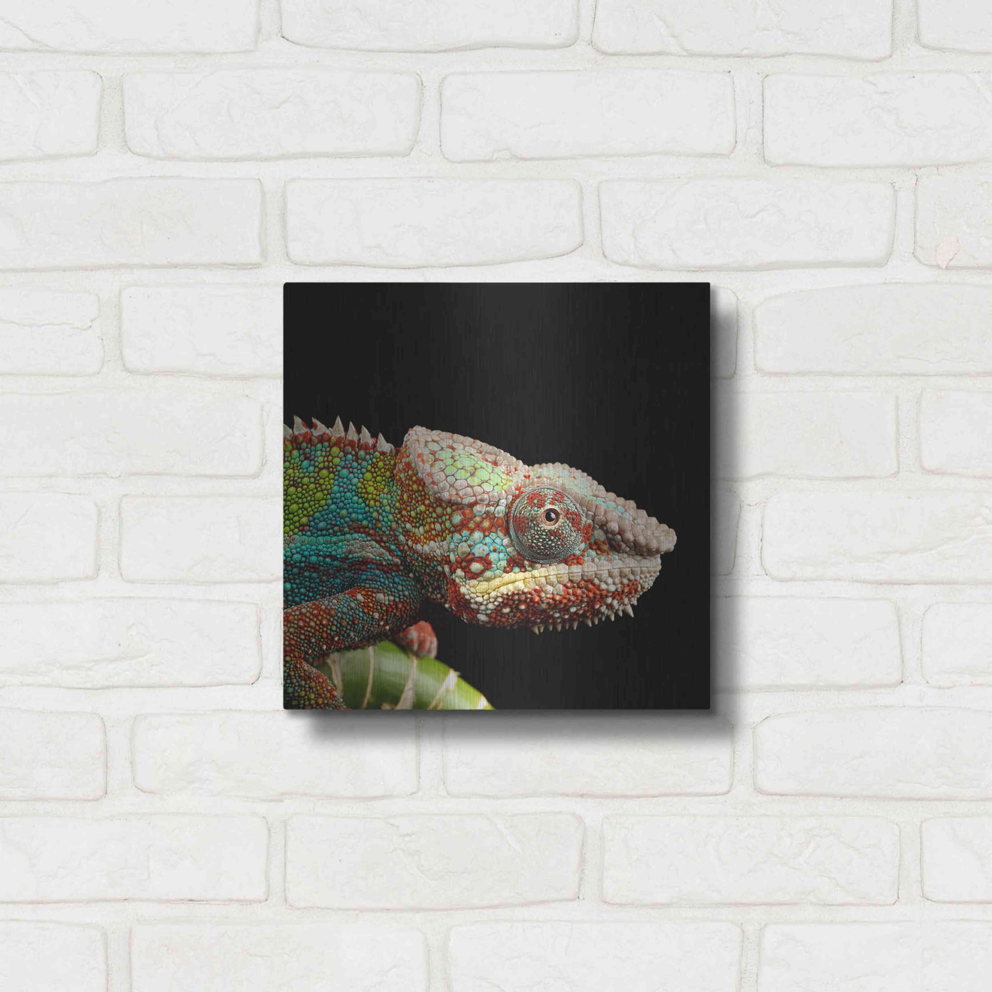 Luxe Metal Art 'Hide And Seek' by Epic Portfolio Metal Wall Art,12x12