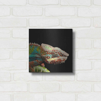 Luxe Metal Art 'Hide And Seek' by Epic Portfolio Metal Wall Art,12x12