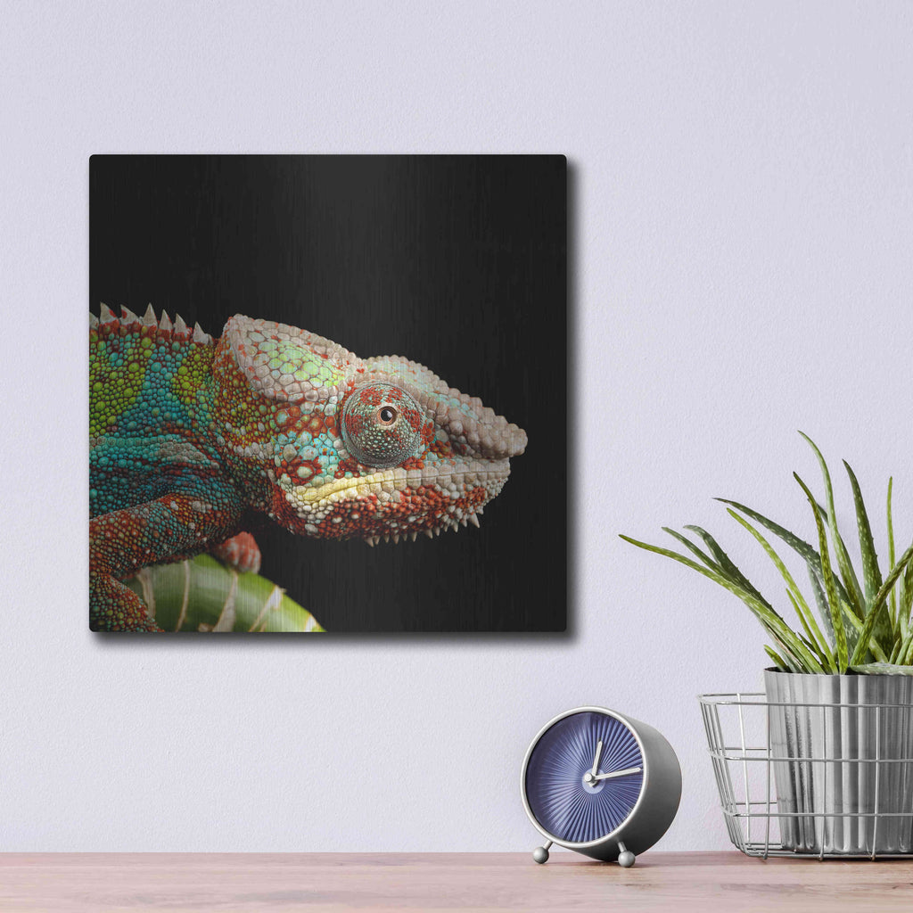 Luxe Metal Art 'Hide And Seek' by Epic Portfolio Metal Wall Art,12x12