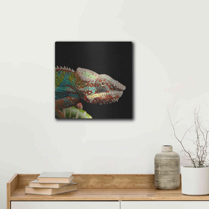 Luxe Metal Art 'Hide And Seek' by Epic Portfolio Metal Wall Art,12x12