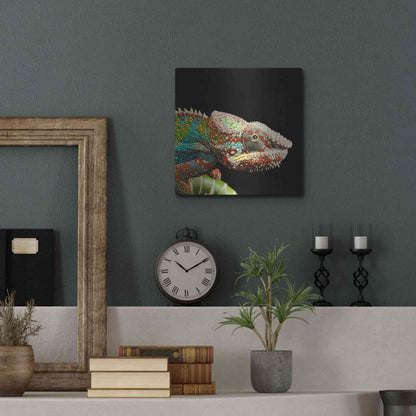 Luxe Metal Art 'Hide And Seek' by Epic Portfolio Metal Wall Art,12x12