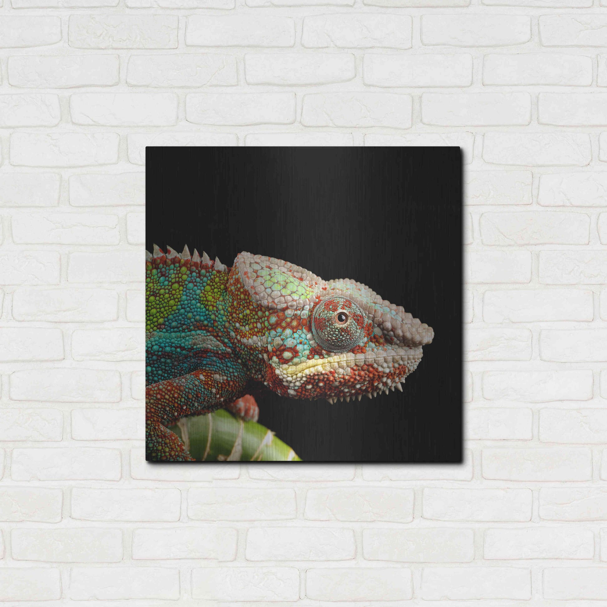 Luxe Metal Art 'Hide And Seek' by Epic Portfolio Metal Wall Art,24x24