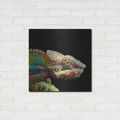 Luxe Metal Art 'Hide And Seek' by Epic Portfolio Metal Wall Art,24x24