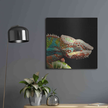 Luxe Metal Art 'Hide And Seek' by Epic Portfolio Metal Wall Art,24x24