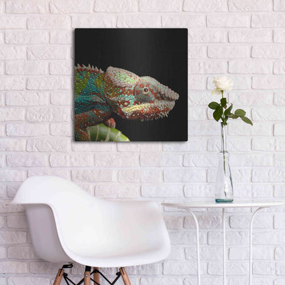 Luxe Metal Art 'Hide And Seek' by Epic Portfolio Metal Wall Art,24x24