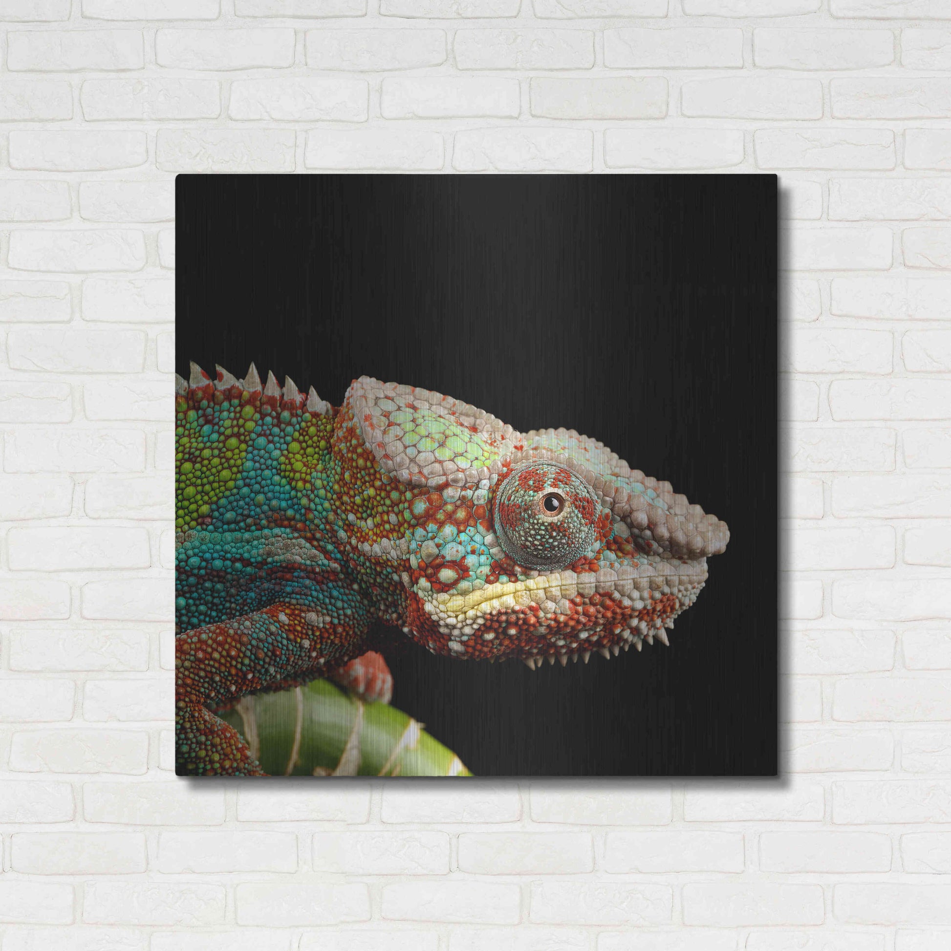 Luxe Metal Art 'Hide And Seek' by Epic Portfolio Metal Wall Art,36x36