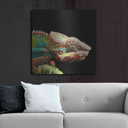 Luxe Metal Art 'Hide And Seek' by Epic Portfolio Metal Wall Art,36x36