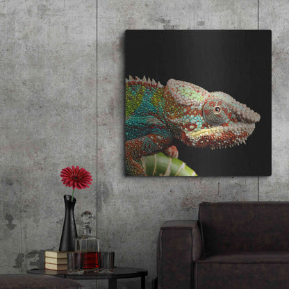 Luxe Metal Art 'Hide And Seek' by Epic Portfolio Metal Wall Art,36x36