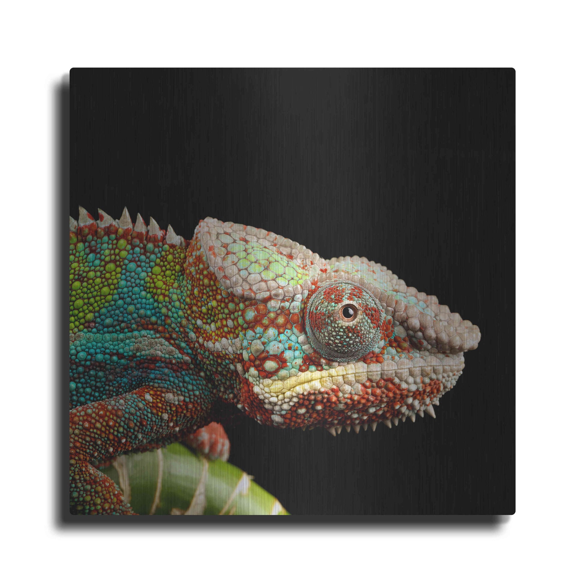 Luxe Metal Art 'Hide And Seek' by Epic Portfolio Metal Wall Art