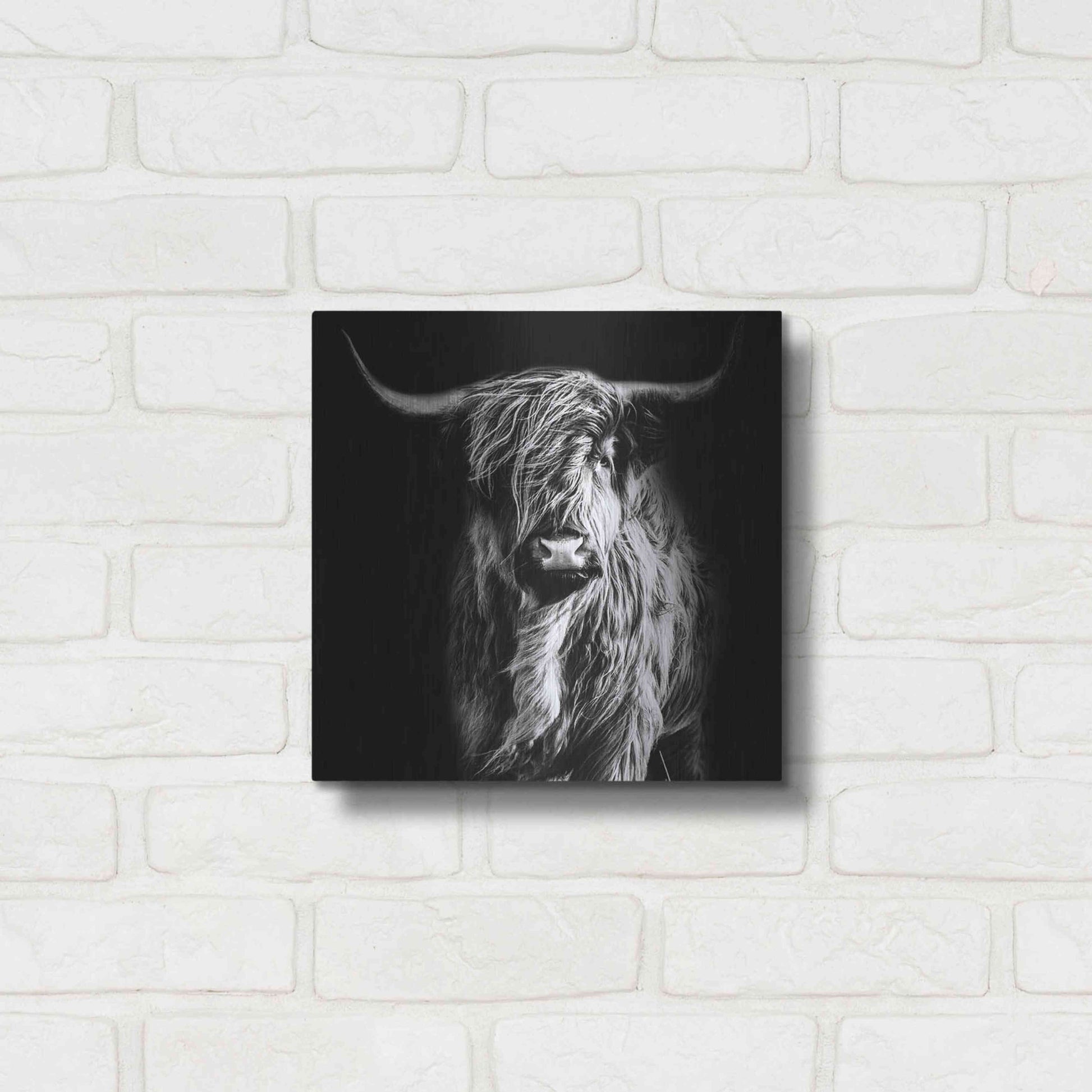 Luxe Metal Art 'Hippy Highland Cow' by Epic Portfolio Metal Wall Art,12x12