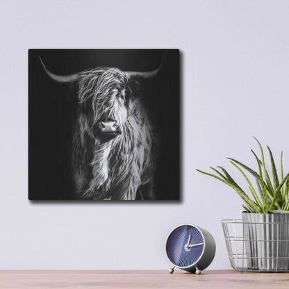 Luxe Metal Art 'Hippy Highland Cow' by Epic Portfolio Metal Wall Art,12x12