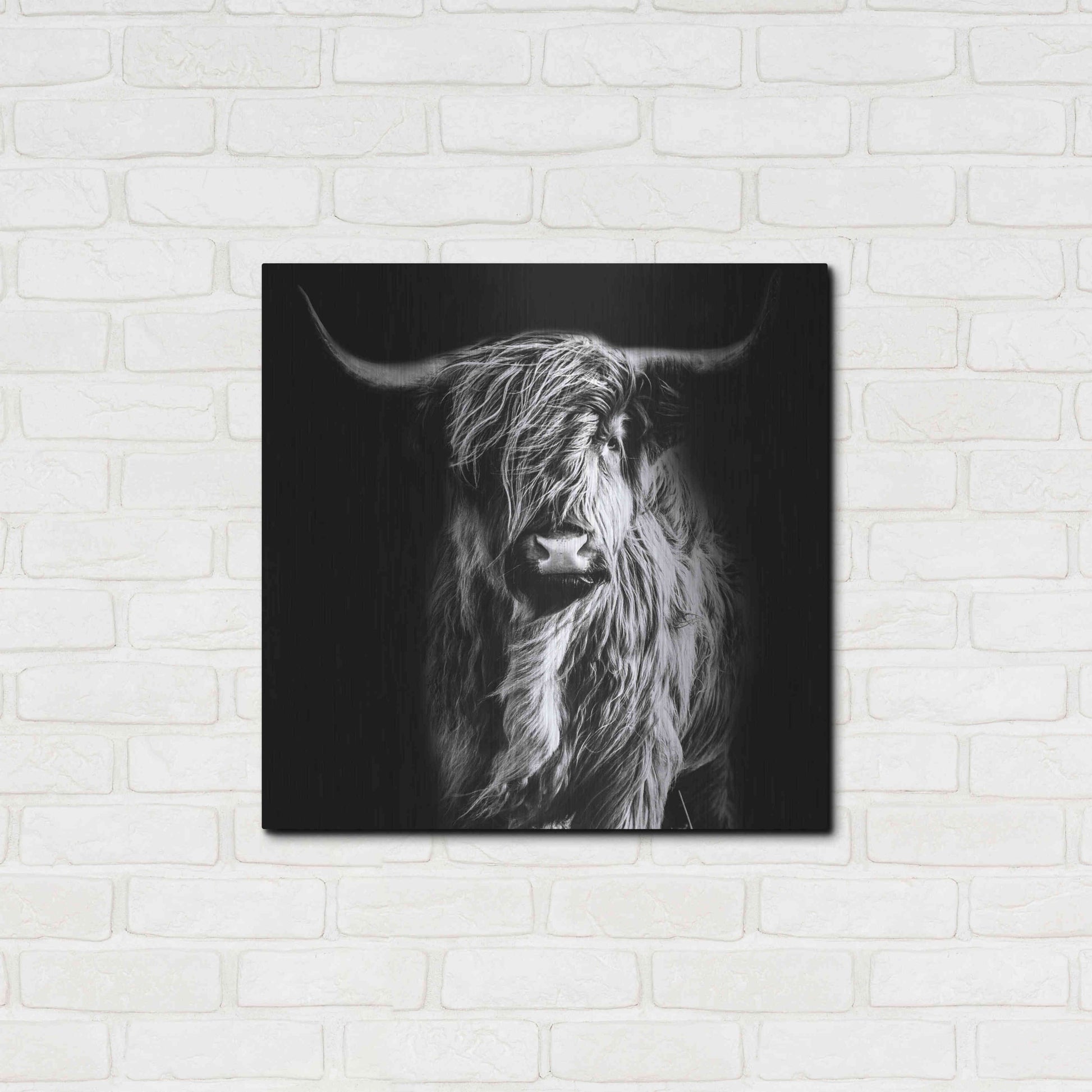 Luxe Metal Art 'Hippy Highland Cow' by Epic Portfolio Metal Wall Art,24x24