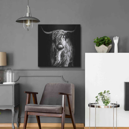 Luxe Metal Art 'Hippy Highland Cow' by Epic Portfolio Metal Wall Art,24x24